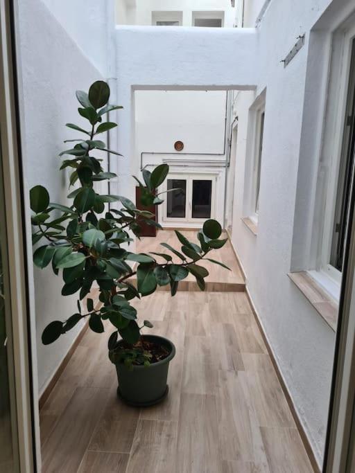 Apartamento Centrico Pontevedra Apartment Exterior foto